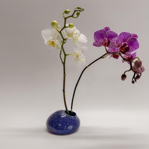 May include: A blue speckled ceramic vase holds two orchid stems. One stem bears white flowers with yellow centers, the other, purple flowers with darker purple stripes. The vase is egg-shaped with a small opening.