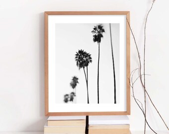 Black and White Palm Tree Photo, Palm Tree Print, Modern Home Decor, Los Angeles Art, Minimalist Art, California