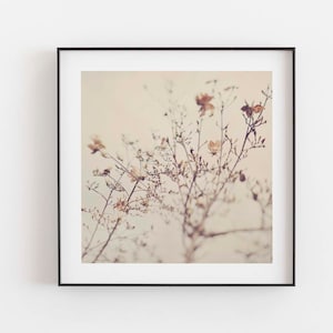 Magnolia Tree Photograph, Flower Print, Girls Room Decor, Nursery Wall Art, Nature Photography, Baby Gift image 1