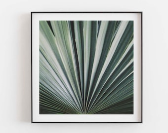 Nature Photo, Spa Decor, Palm Tree Print, Green Wall Art, Girls Room, Bedroom Wall Art, Minimalist Artwork, Desert Boho