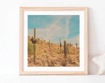 Saguaro Cactus Print, Arizona Photo, Southwest Decor, Sonoran Desert, Landscape Photography, Office Gift