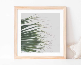 Nature Print, Palm Tree Leaves Photo, Nursery Artwork, Garden Decor, Minimalist Art, Boho