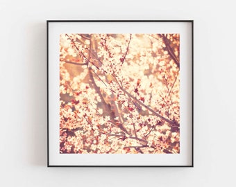 Rustic Home Decor, Cherry Blossom Tree Photo, Nursery Wall Print, Boho Chic, Gift for Mom, Girls Room, Nature Photography