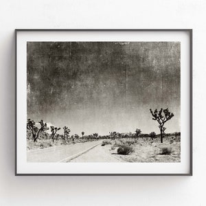 Black and white photograph of Joshua Tree National Park