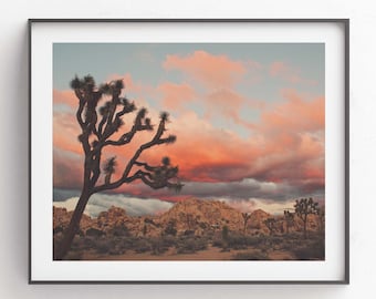 Joshua Tree Sunset Photograph, Desert Print, Southwest Decor, Landscape Photography, Palm Springs, California Wall Art, Wedding Gift
