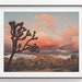 see more listings in the Joshua Tree - Desert Art section