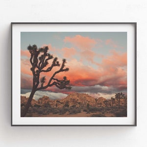 Joshua Tree Sunset Photograph, Desert Print, Southwest Decor, Landscape Photography, Palm Springs, California Wall Art, Wedding Gift image 1