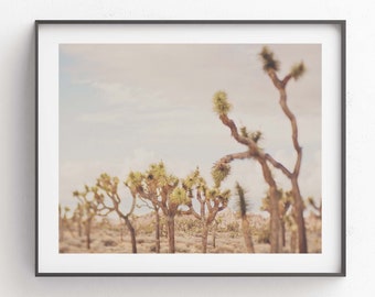 Desert Nursery Print, Joshua Tree Photo, Landscape Photography, Dreamy Wall Art, Bedroom Decor, California Gift