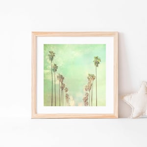 La La Land, Los Angeles Photography, California Palm Trees Photo, Summer Vacation, Fine Art Print, Myan Soffia image 1