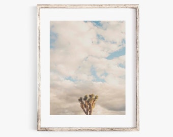 Joshua Tree Photography, Southwestern Decor, Desert Wall Art, California Prints, Minimalist Print, Modern Boho