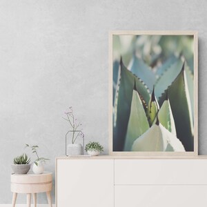 Agave Photograph, Desert Decor, Garden Photo, Boho Wall Art, Southwest, California, Spa Print, Nature, Housewarming Gift image 1