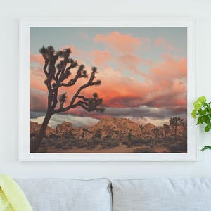 Joshua Tree Sunset Print Framed, Desert Art, Landscape Photo, Boho Decor, Rustic Artwork, Nursery, Gift for Newlyweds image 4