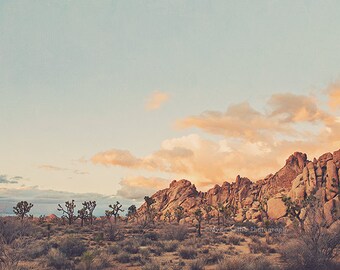 Joshua Tree photography Joshua Tree national park California