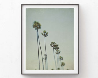 Palm Trees Los Angeles Photo, Vertical Print, Boho Decor, California Art, Hollywood Photography, Teen Girls Gift