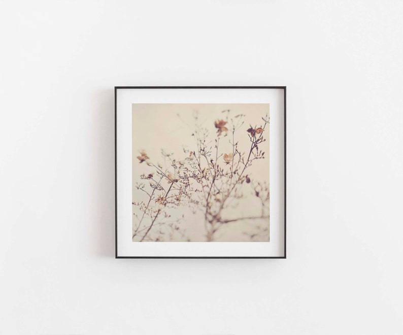 Magnolia Tree Photograph, Flower Print, Girls Room Decor, Nursery Wall Art, Nature Photography, Baby Gift image 1