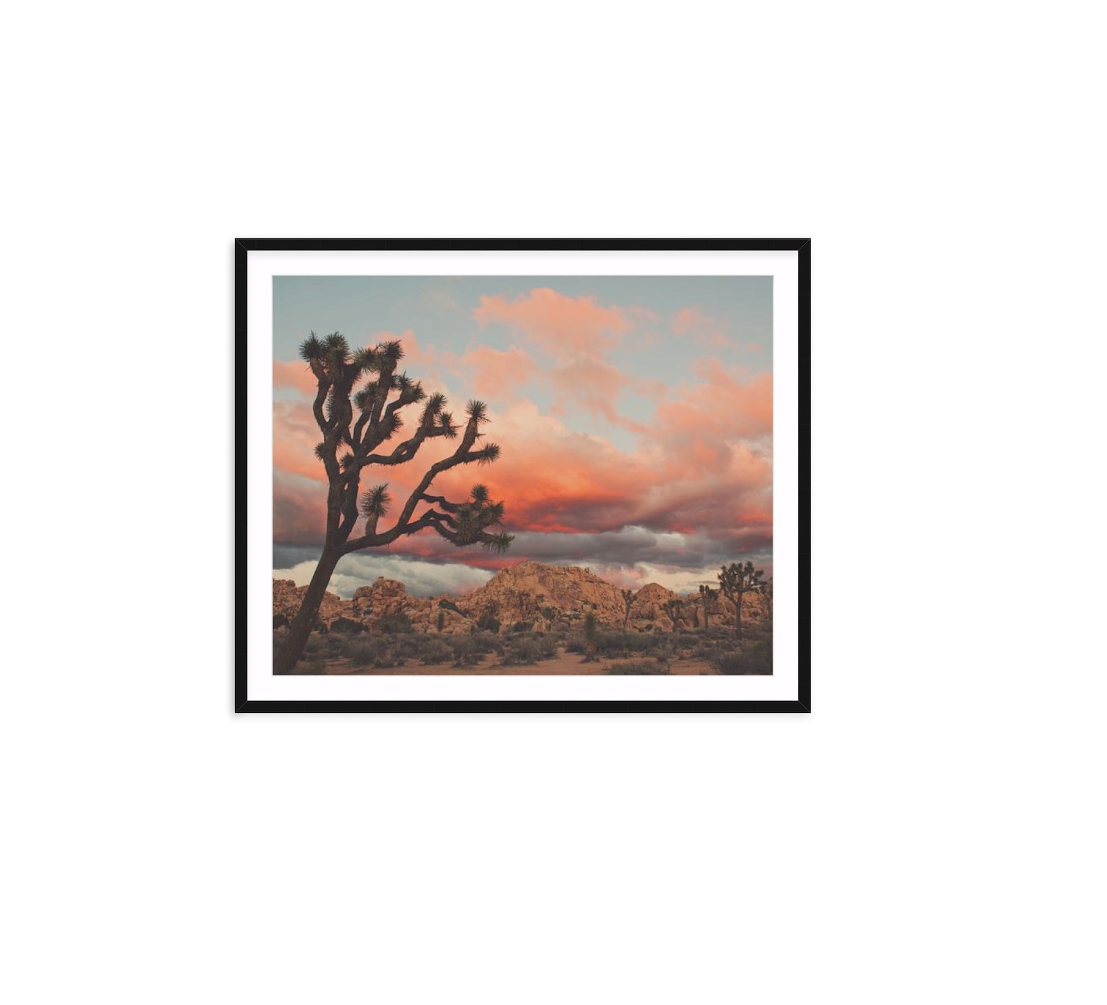 Framed Desert Print Joshua Tree Wall Art Southwest Photo Etsy