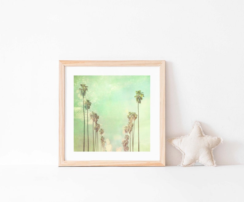 La La Land, Los Angeles Photography, California Palm Trees Photo, Summer Vacation, Fine Art Print, Myan Soffia image 1