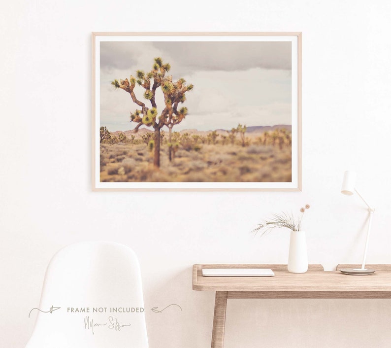 Boho Desert Print, Joshua Tree Photography, Southwestern Decor, Neutral Tones for Living Room, Bedroom, Myan Soffia, California Artwork image 1