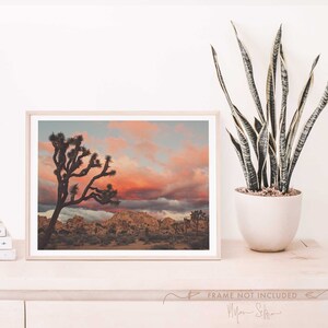 Joshua Tree Sunset Photograph, Desert Print, Southwest Decor, Landscape Photography, Palm Springs, California Wall Art, Wedding Gift image 4