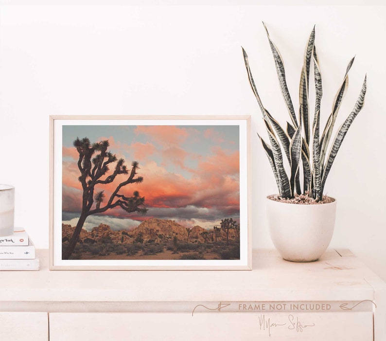 Joshua Tree Sunset Photograph, Desert Print, Southwest Decor, Landscape Photography, Palm Springs, California Wall Art, Wedding Gift image 4