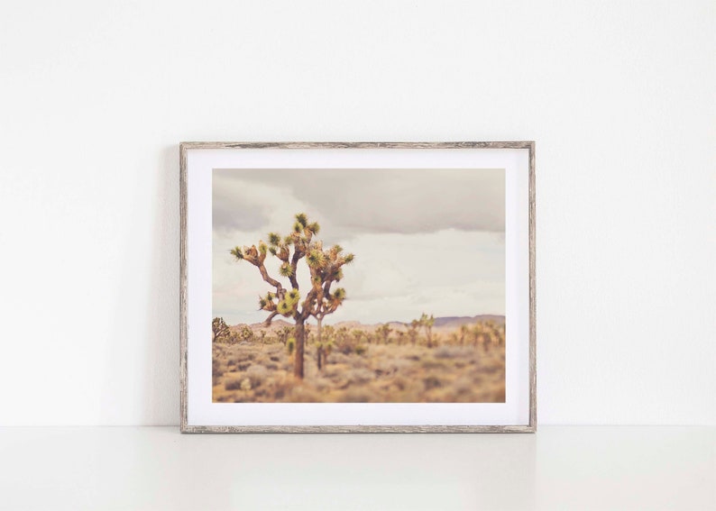 Boho Desert Print, Joshua Tree Photography, Southwestern Decor, Neutral Tones for Living Room, Bedroom, Myan Soffia, California Artwork image 2