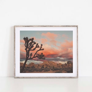 Joshua Tree Sunset Photograph, Desert Print, Southwest Decor, Landscape Photography, Palm Springs, California Wall Art, Wedding Gift image 6
