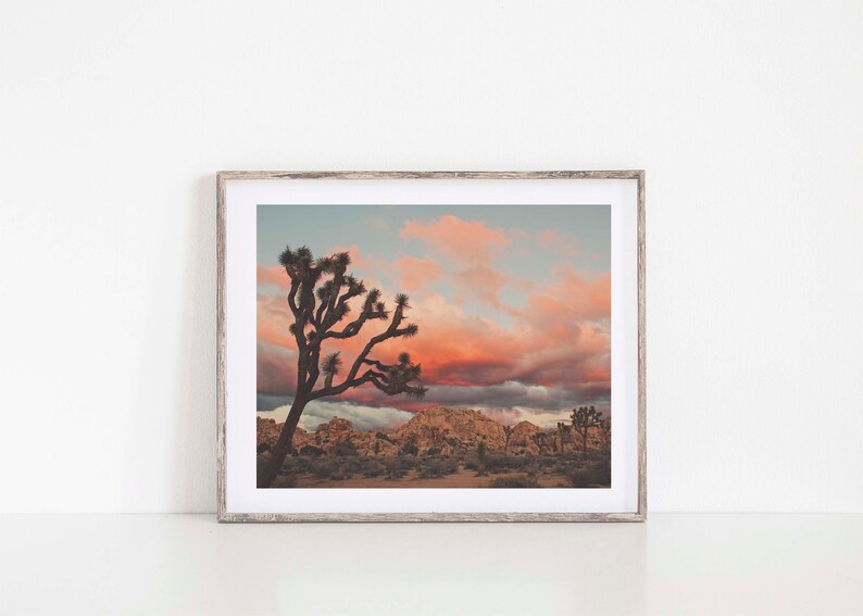 Joshua Tree Sunset Photograph, Desert Print, Southwest Decor, Landscape Photography, Palm Springs, California Wall Art, Wedding Gift image 6