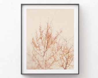 Ginkgo Tree Photo, Nature Print, Botanical Photograph, Girls Room Wall Art, Bedroom, Baby Nursery