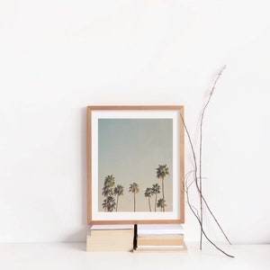 Palm Springs Print, Palm Trees Wall Art, Desert Photography, California Photo, Housewarming Gift, Baby Nursery image 4