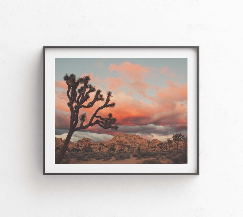 Joshua Tree Sunset Photograph, Desert Print, Southwest Decor, Landscape Photography, Palm Springs, California Wall Art, Wedding Gift image 1