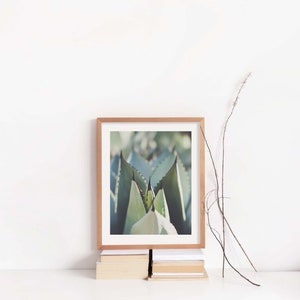 Agave Photograph, Desert Decor, Garden Photo, Boho Wall Art, Southwest, California, Spa Print, Nature, Housewarming Gift image 6