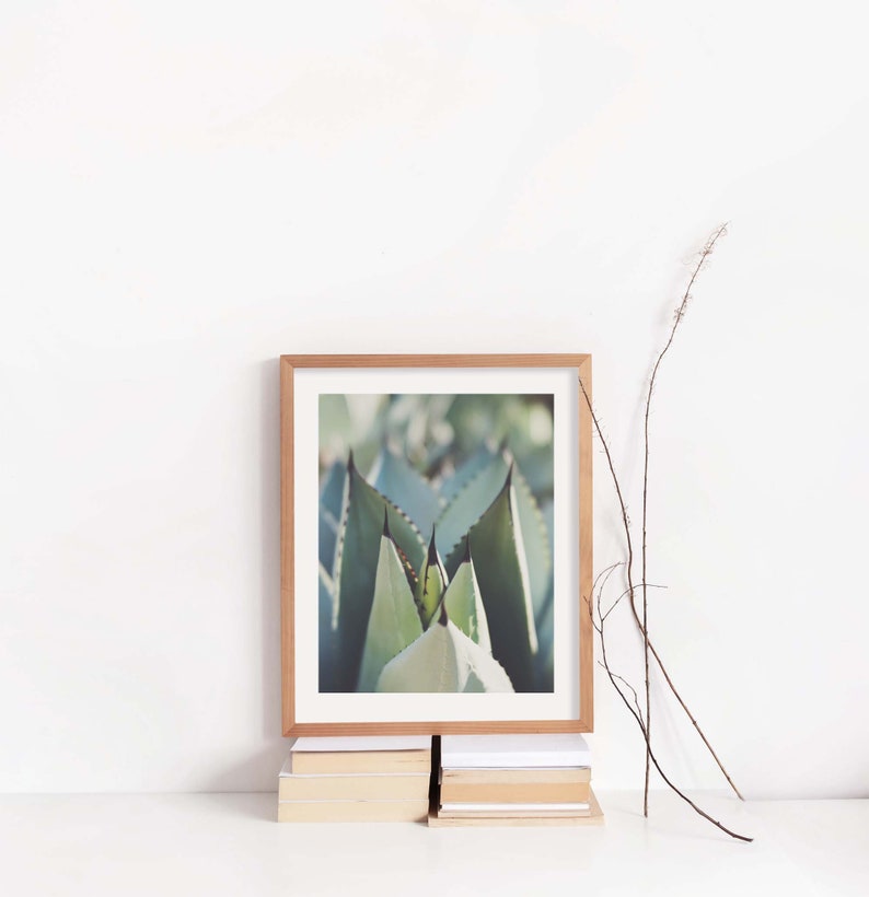 Agave Photograph, Desert Decor, Garden Photo, Boho Wall Art, Southwest, California, Spa Print, Nature, Housewarming Gift image 6