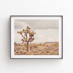 Boho Desert Print, Joshua Tree Photography, Southwestern Decor, Neutral Tones for Living Room, Bedroom, Myan Soffia, California Artwork image 5