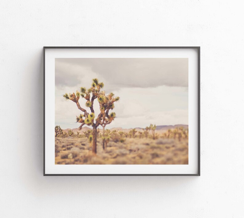 Boho Desert Print, Joshua Tree Photography, Southwestern Decor, Neutral Tones for Living Room, Bedroom, Myan Soffia, California Artwork image 5