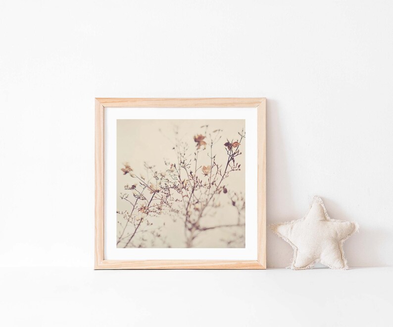 Magnolia Tree Photograph, Flower Print, Girls Room Decor, Nursery Wall Art, Nature Photography, Baby Gift image 4