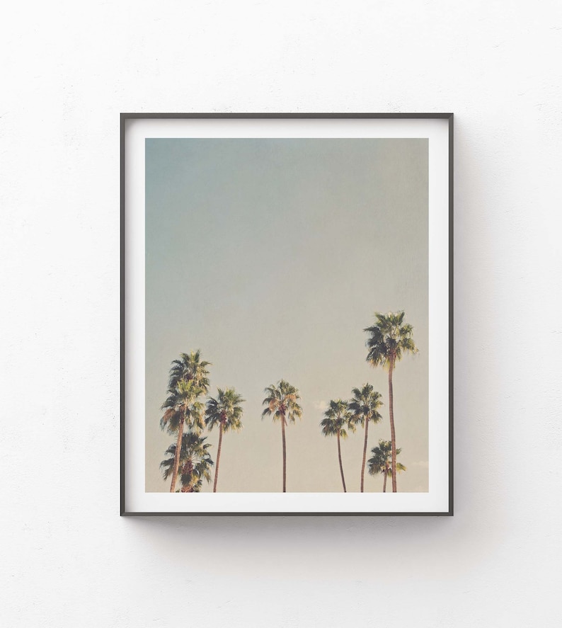 Palm Springs Print, Palm Trees Wall Art, Desert Photography, California Photo, Housewarming Gift, Baby Nursery image 6
