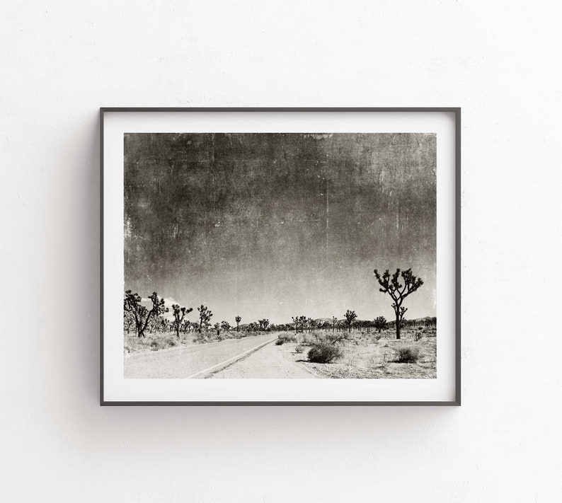 Black and white photograph of Joshua Tree National Park