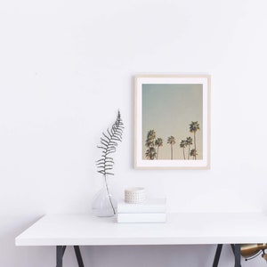 Palm Springs Print, Palm Trees Wall Art, Desert Photography, California Photo, Housewarming Gift, Baby Nursery image 5