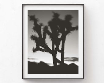 Black and White Desert Photography, Joshua Tree Print, Surreal Photo, Dreamy Landscape Photograph, Gift for Him