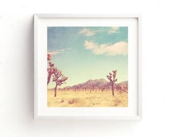 Framed Desert Print, Joshua Tree Wall Art, Southwest Photo, Wedding Gift, Baby Nursery, Boho Decor, California