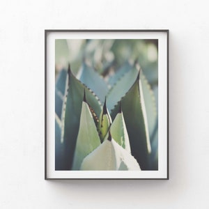 Agave Photograph, Desert Decor, Garden Photo, Boho Wall Art, Southwest, California, Spa Print, Nature, Housewarming Gift image 4