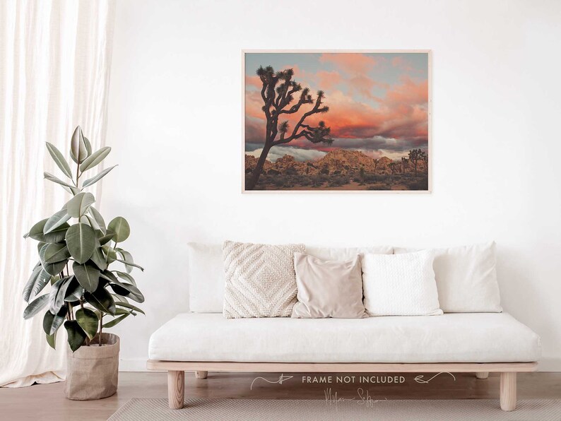 Joshua Tree Sunset Photograph, Desert Print, Southwest Decor, Landscape Photography, Palm Springs, California Wall Art, Wedding Gift image 5