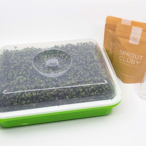 Volles Microgreen Anbaukit