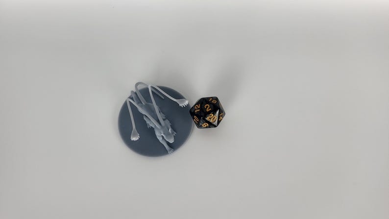 以下が含まれることがあります： 灰色の3Dプリントされたミニチュアは、長い脚と尾を持つ生き物を表しており、灰色のベースの上に立っています。ミニチュアの隣には、金色の数字が書かれた黒い20面ダイスがあります。