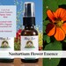 see more listings in the FlowerEssence AromaSpray section