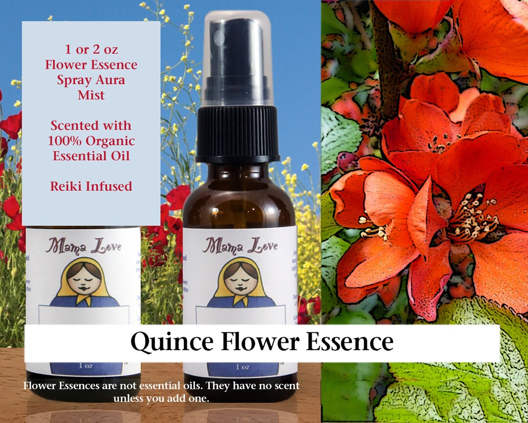 Quince Flower Essence Scented Spray for Balancing Compassion and ...