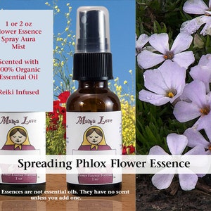 Spreading Phlox Flower Essence, Scented Spray Aura Mist for Connecting with People who Share Your Soul Purpose