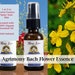 see more listings in the FlowerEssence AromaSpray section