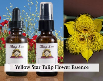 Organic Yellow Star Tulip Flower Essence, Dropper or Unscented Spray for Developing Empathy, Sensitivity to the Feelings of Other People