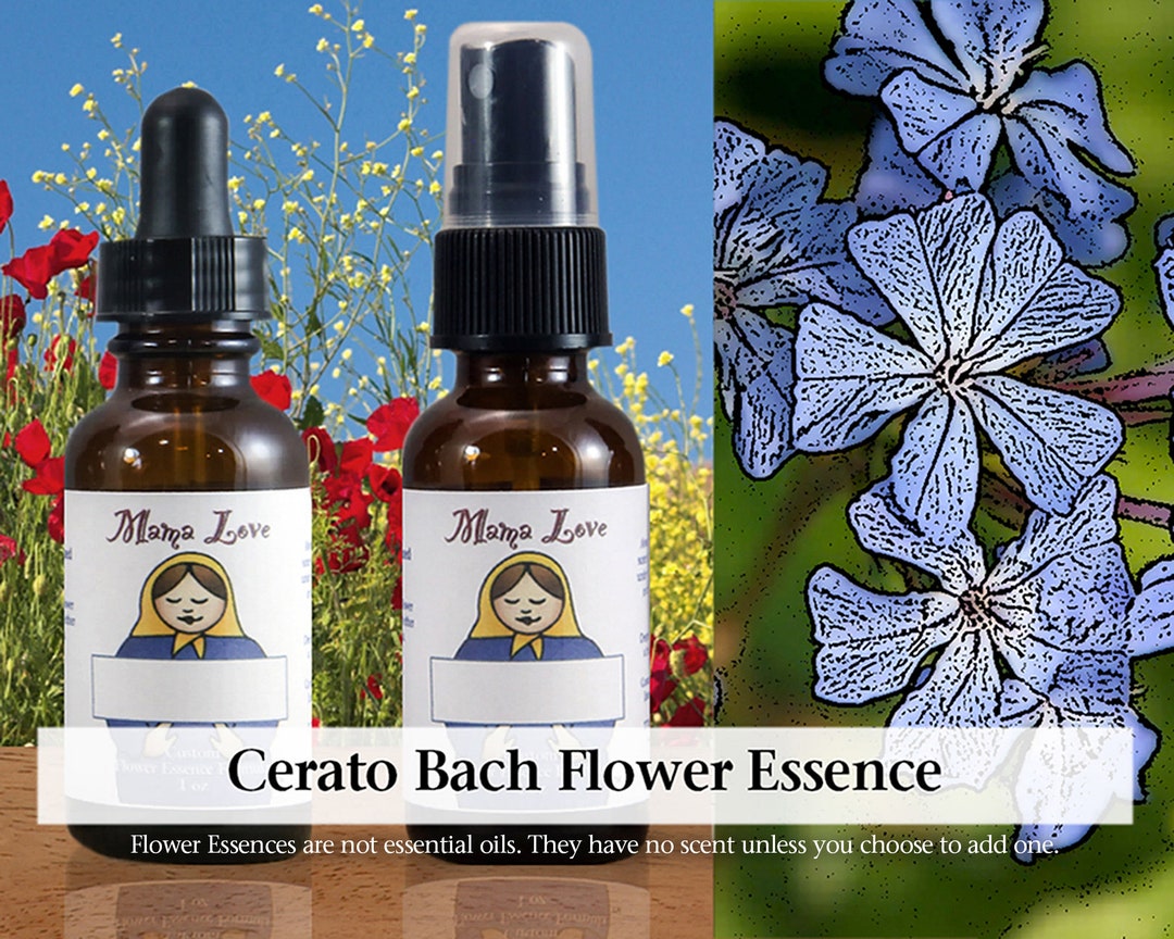 Organic Cerato Bach Flower Essence, Dropper or Spray for Trusting Your